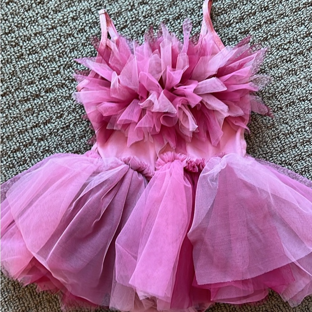 Tutu Du Monde dress 3-6 months
